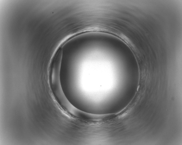 X0000065950854200603101354