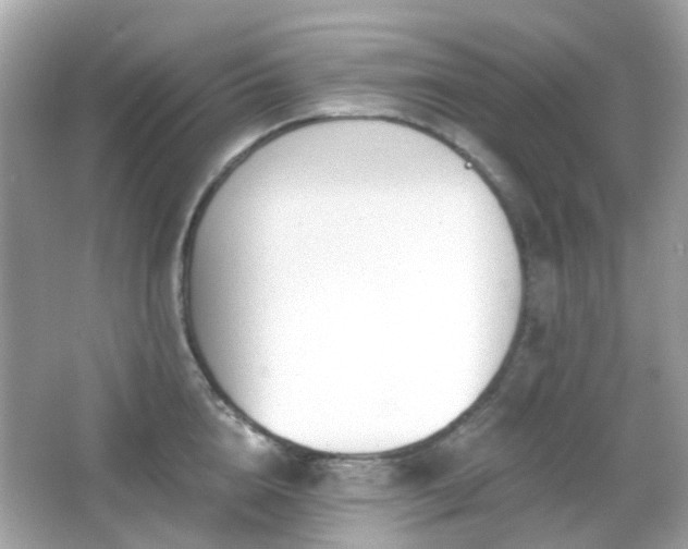 X0000065950856200603101354