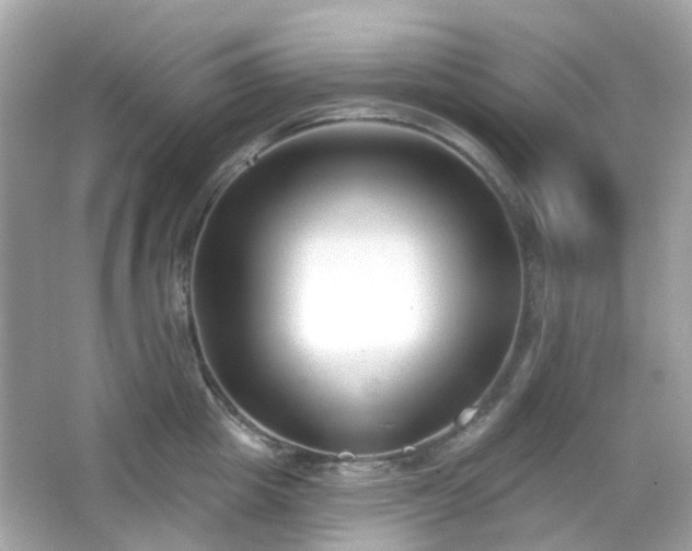 X0000065950857200603101354