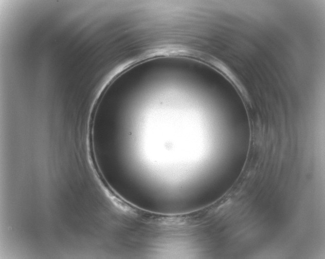 X0000065950861200603101354