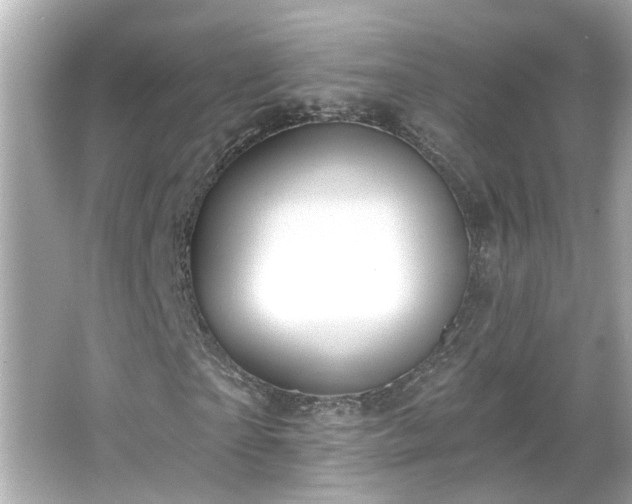 X0000065950865200603101354