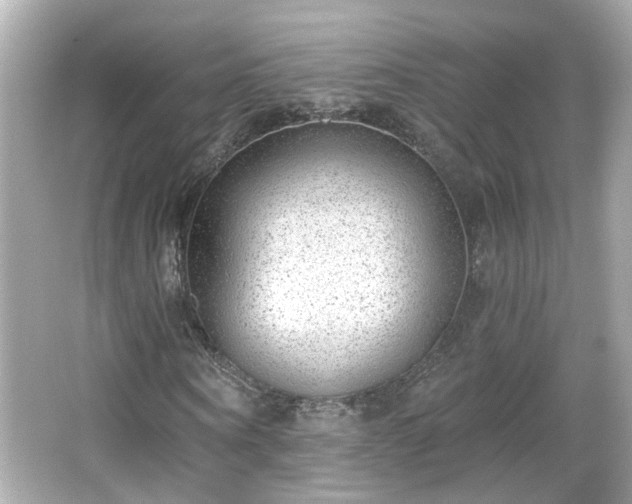 X0000065950866200603101354