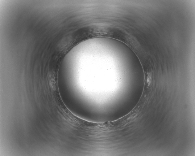 X0000065950867200603101354
