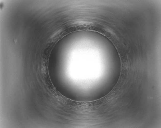 X0000065950869200603101353