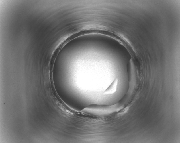 X0000065950877200603101353