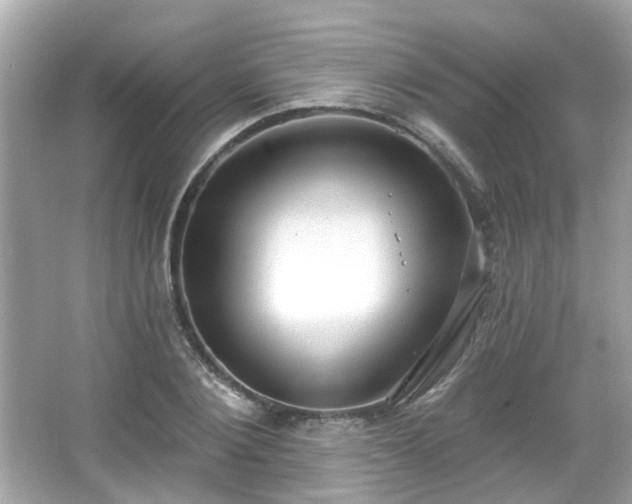 X0000065950884200603101353