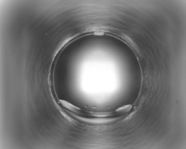 X0000065950893200603101353