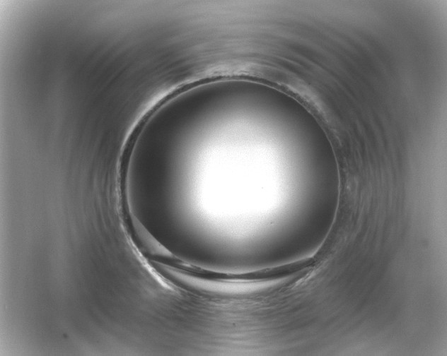 X0000065950894200603101353