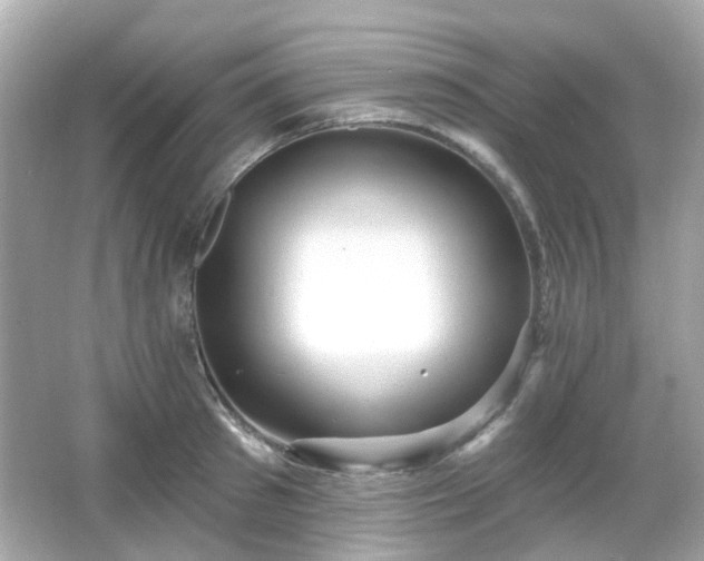 X0000065950897200603101353