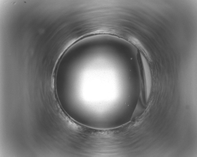 X0000065950900200603101353
