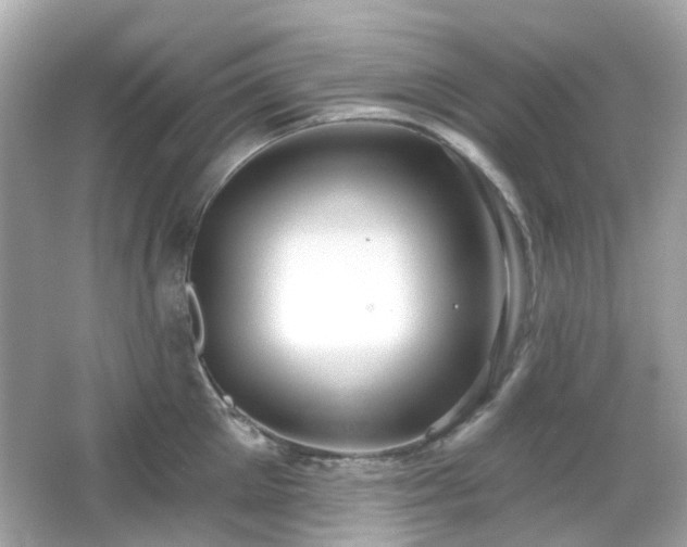 X0000065950905200603101353