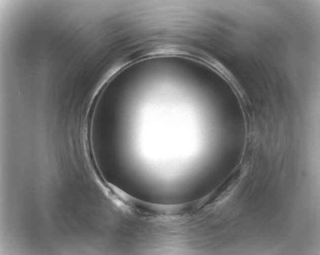 X0000065950909200603101353