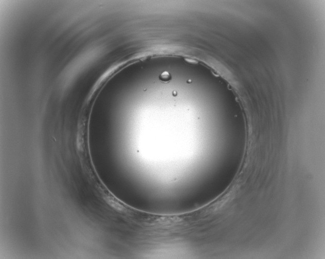 X0000065950912200603101353
