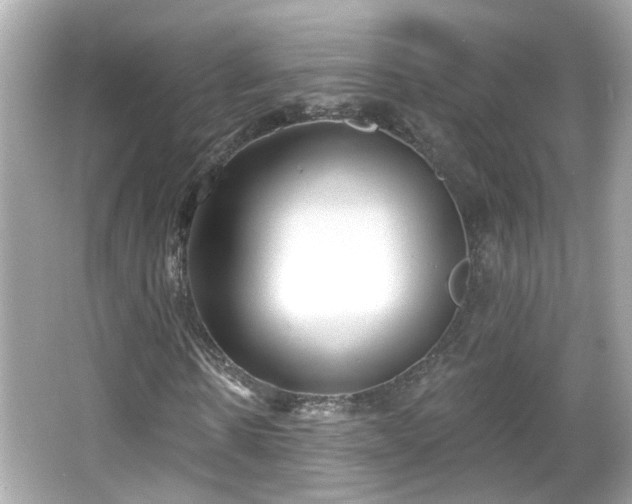 X0000065950914200603101352