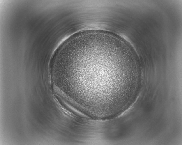 X0000065950925200603101352