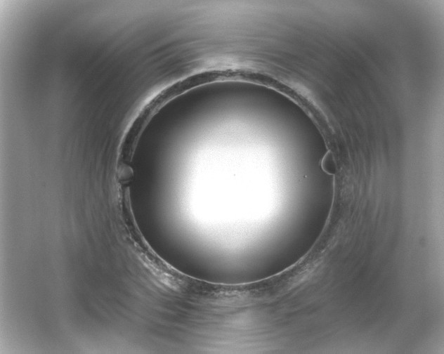 X0000065950927200603101352
