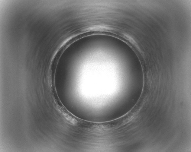 X0000065950931200603101352