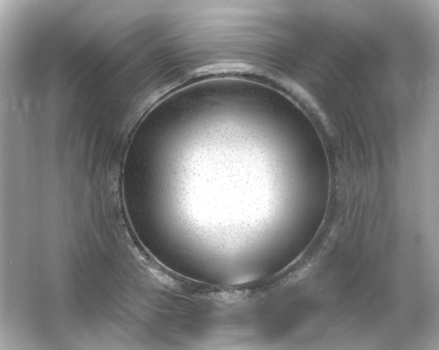 X0000065950937200603101352