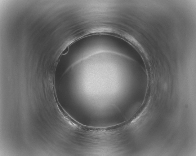 X0000065950945200603101352