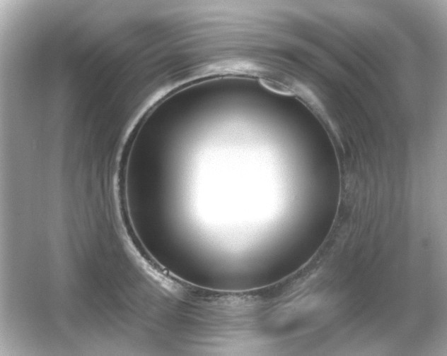 X0000065950947200603101353