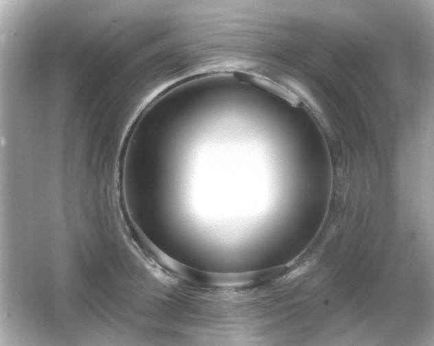 X0000065950948200603101353