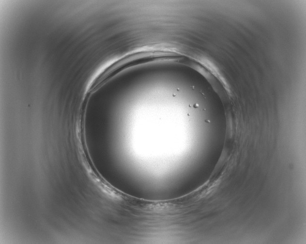 X0000065950952200603101353