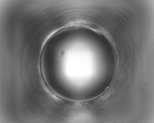 X0000065950960200603101353