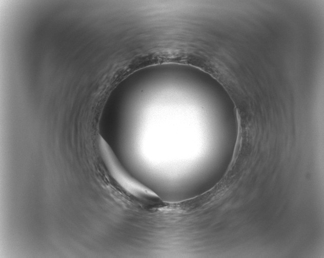 X0000065950961200603101352
