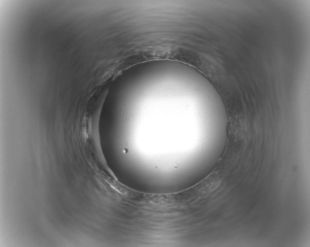 X0000065950962200603101352