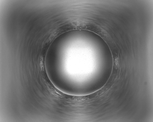 X0000065950963200603101352