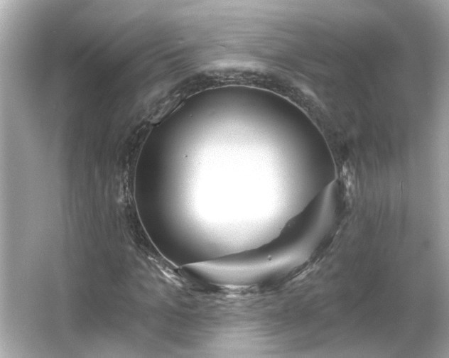 X0000065950965200603101352