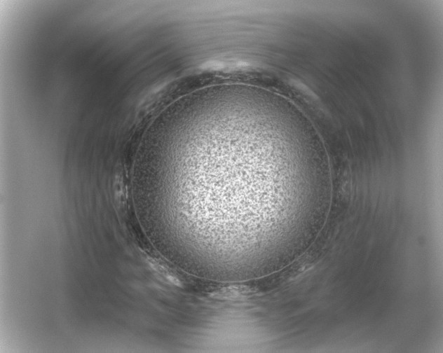 X0000065950966200603101352