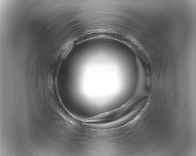 X0000065950969200603101352