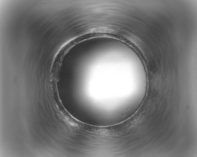 X0000065950971200603101352
