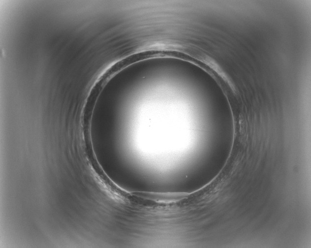 X0000065950972200603101352