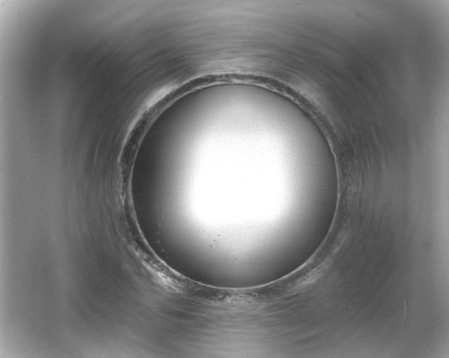X0000065950974200603101352