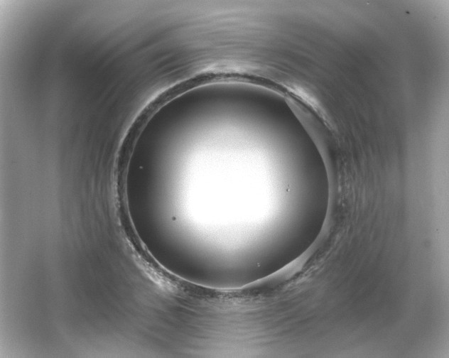 X0000065950976200603101352