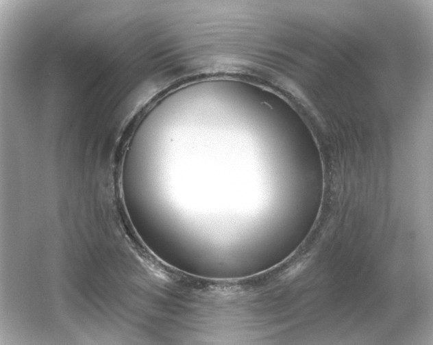 X0000065950978200603101352
