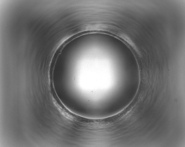 X0000065950980200603101352