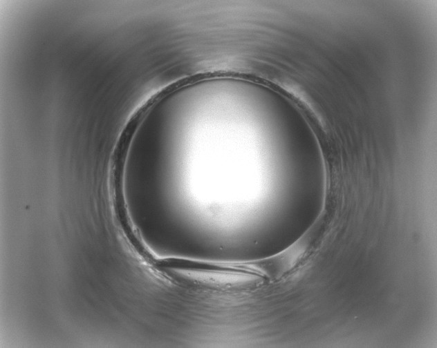 X0000065950983200603101352