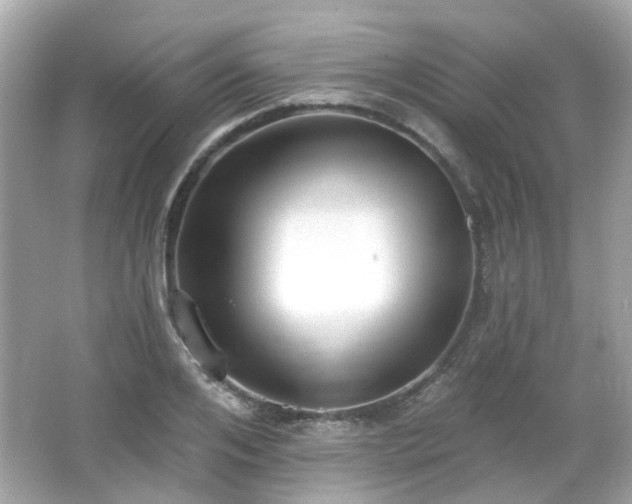 X0000065950984200603101352