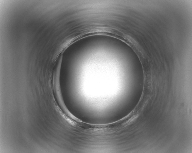X0000065950985200603101352