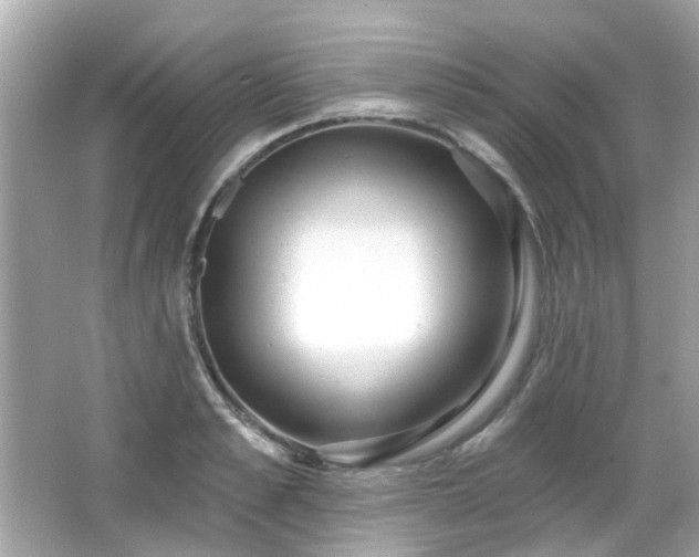 X0000065950989200603101351