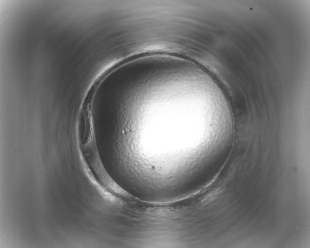 X0000065950991200603101351