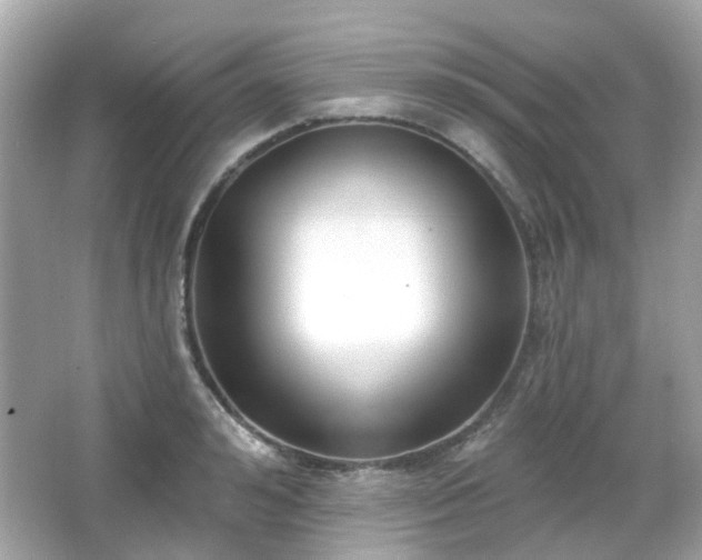 X0000065950992200603101351