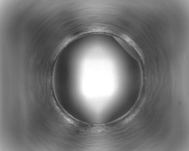 X0000065950993200603101351
