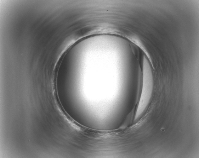 X0000065950997200603101351