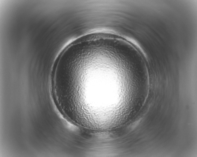 X0000065950999200603101351