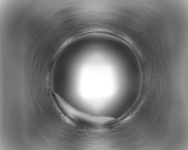 X0000065951001200603101351