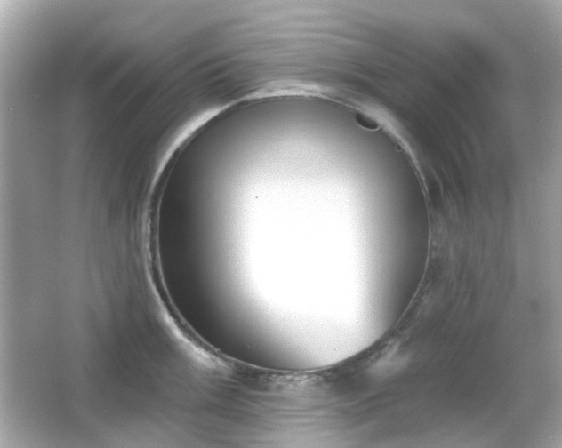 X0000065951003200603101351